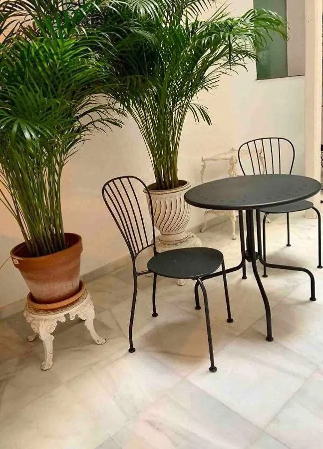 The Traveller'S House Loft Suspiros Con Wifi 0*, Cadiz
